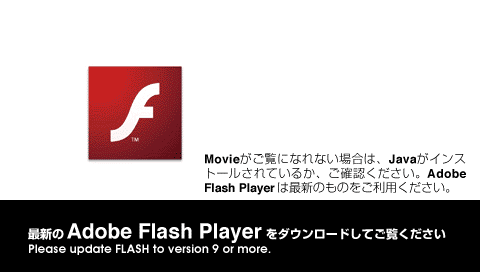 �ŐV��Flash Player�ł����p���������B